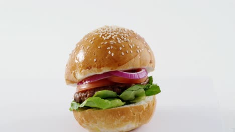 Hamburger-against-white-background