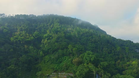 Luftaufnahme-Der-Landschaft-Des-Grünen,-üppigen-Bergwaldes-Im-Nebligen-Morgen