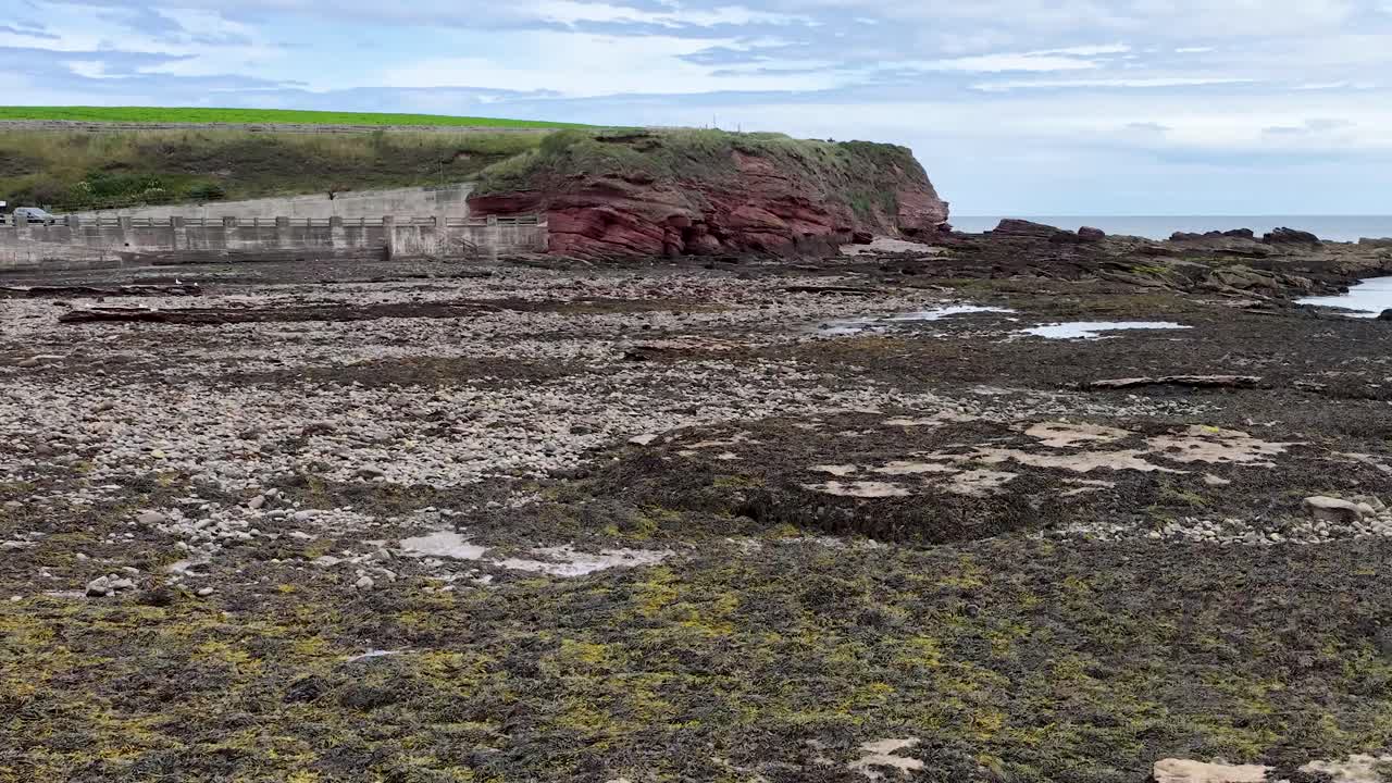 Ampia inquadratura della costa rocciosa scozzese con la bassa marea, che rivela alghe, scogliere e pozze di marea