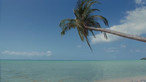 laguna azul vista al mar paraíso tropical paisaje con palmera de coco en el cielo azul
