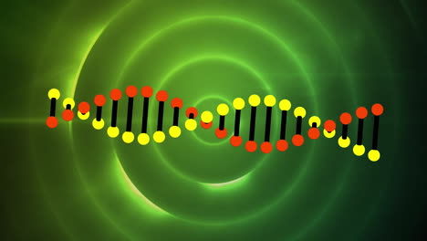 animación de la cadena de adn sobre círculos verdes