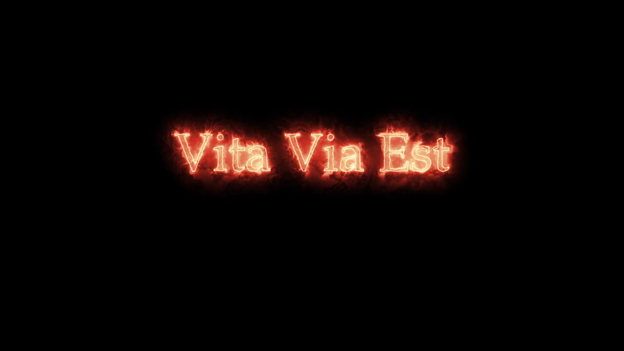 via vita est escrito con fuego. bucle