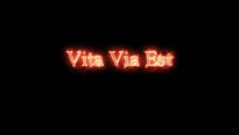 vita via est written with fire. loop