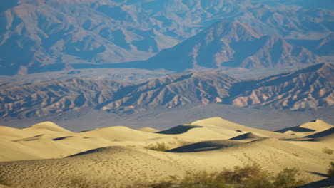 mesquite undulating sand dunes with mountains in distant background