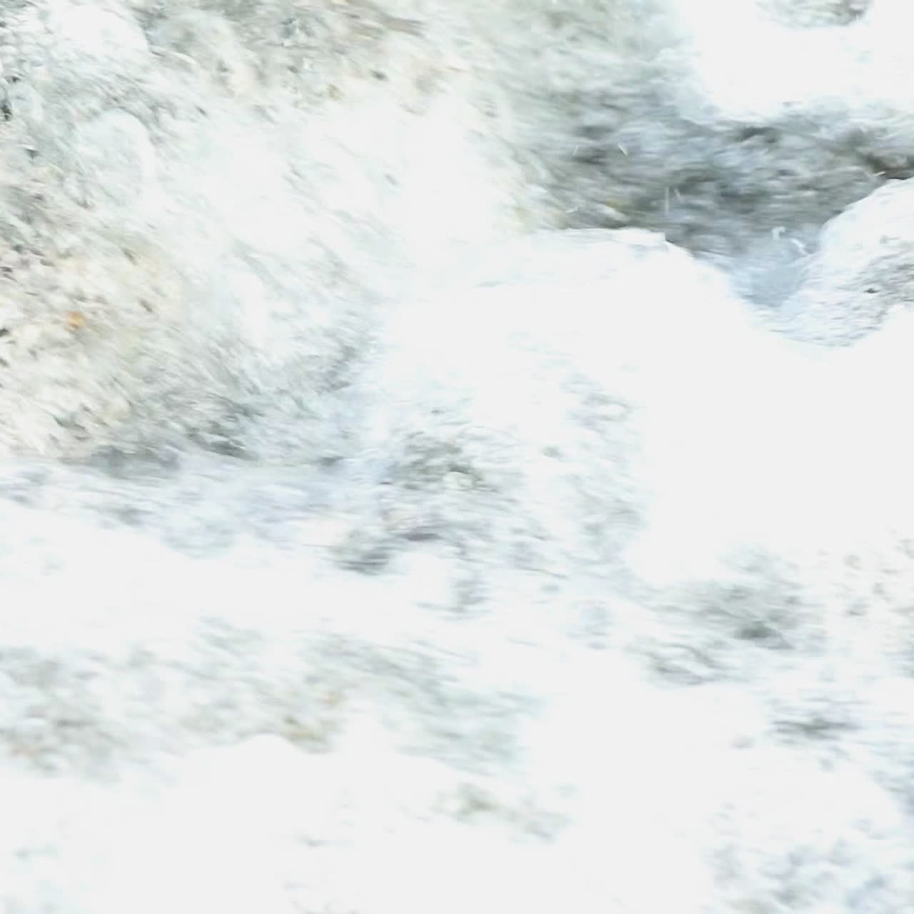 People step barefoot along the shore in the wet sand and waves. Sea walk near water. Close-up.