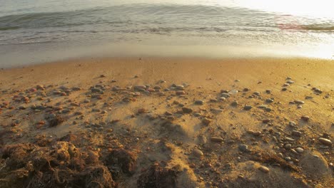 Small-calm-sea-waves-hiting-the-beach-on-a-beautiful-summer-evening-before-sunset,-medium-shot