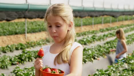 girl eating strawberry in the farm 4k