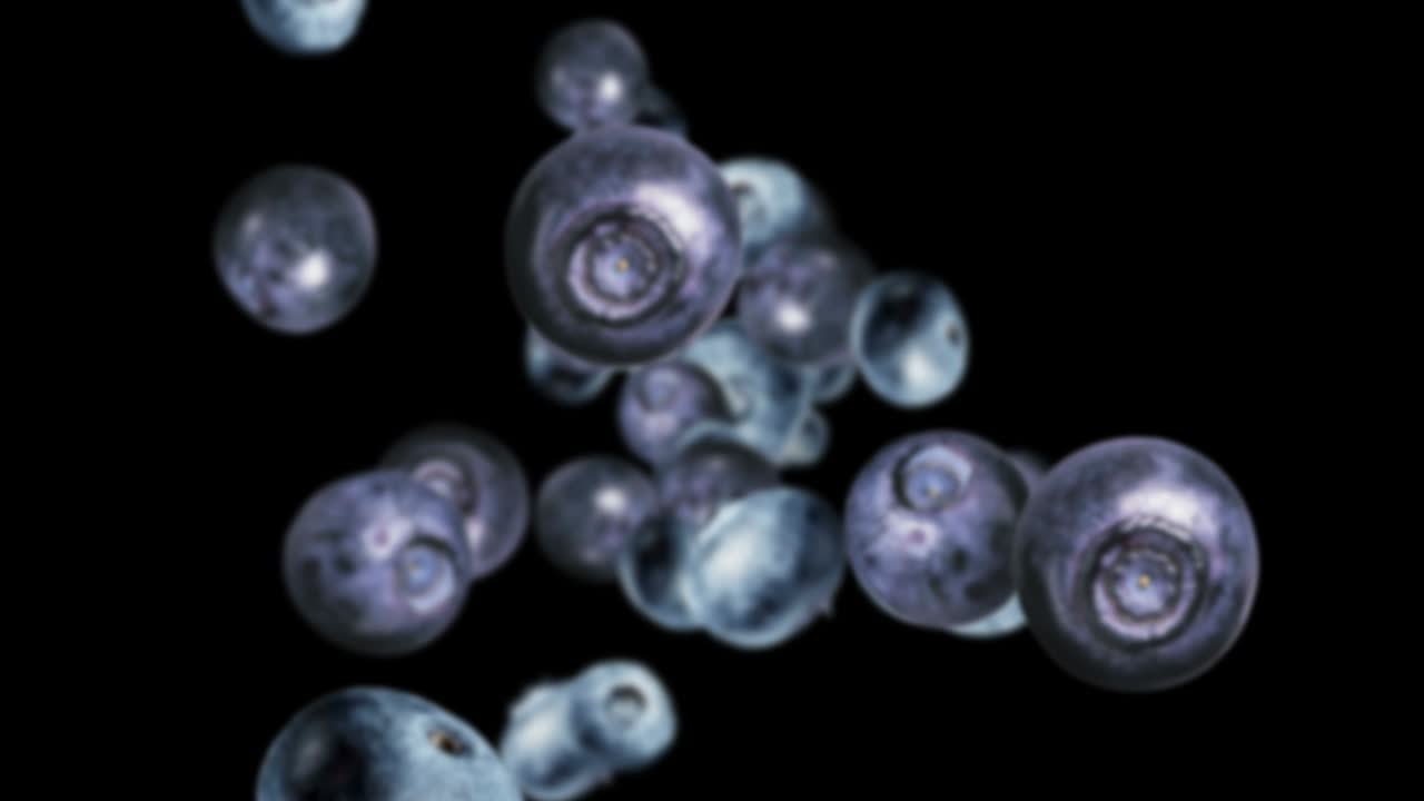 el fondo de los arándanos que caen, bucle, 60 fps, con canal alfa