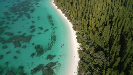 a small boat brings tourists to brush island, a deserted island off kuto bay, isle of pines - aerial orbit