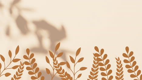 animation of shadow of leaves and plants on beige background