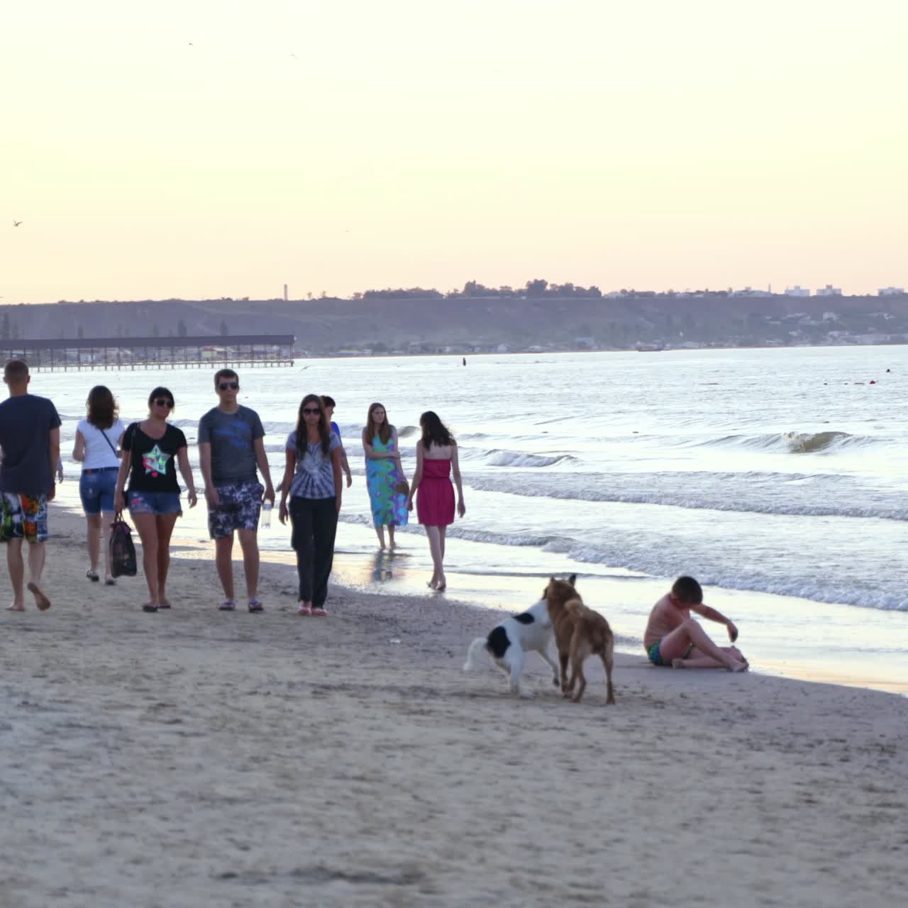 People walking on the beach near the sea. Dogs are playing on the seashore in the evening. Summer vacation at the seaside.