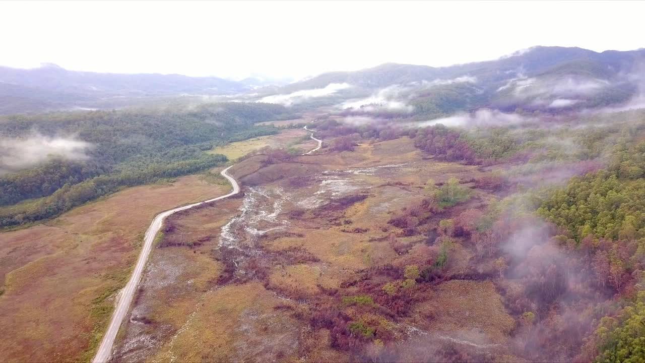 vuelo aéreo sobre el bosque verde y rojo siguiendo la carretera en tasmania en australia, disparo de gran distancia extrema que avanza