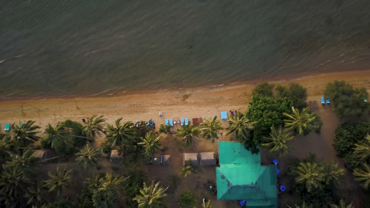 Spiaggia tropicale con palme e barca