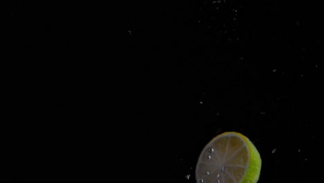 cal cayendo al agua en cámara superlenta, fondo negro, muchas burbujas de aire, 4k240fps