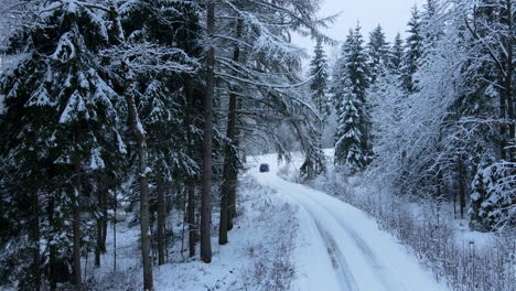 Conducción-De-Automóviles-En-Una-Carretera-Nevada-Rodeada-De-Abetos-Cubiertos-De-Nieve-Durante-Un-Día-Brillante-En-Diciembre,-Toma-Aérea-Hacia-Atrás