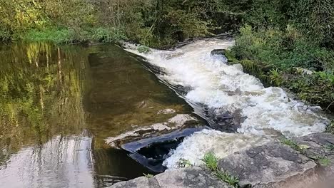 cascading slow motion clear river flowing down stone water control wall through woodland