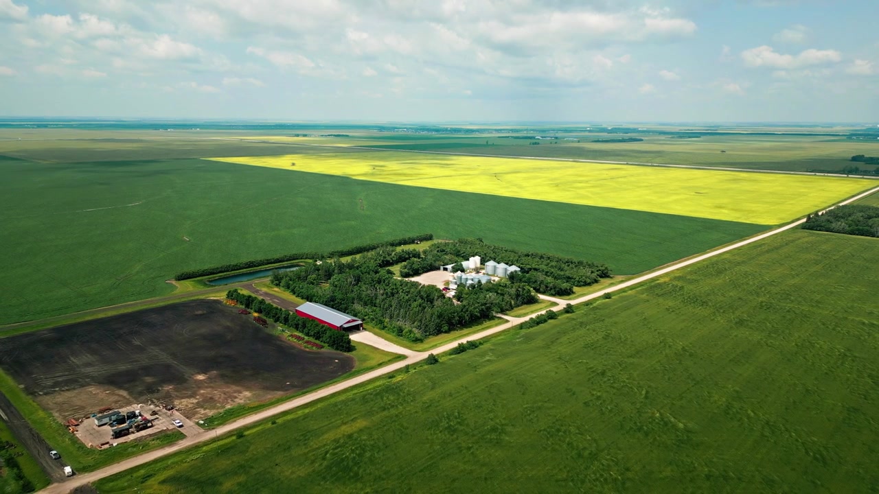 Aerial drone shot pulling back to reveal a prairie farmstead surrounded by canola and wheat fields beneath a blue summer sky