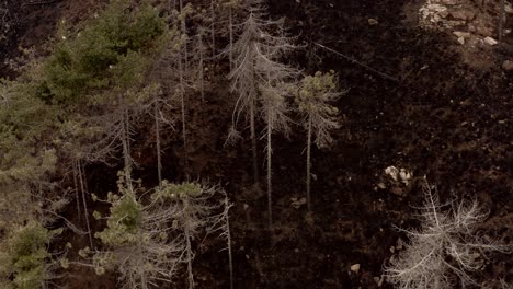 Auswirkungen-Des-Klimawandels-Auf-Hügel,-Nachdem-Ein-Feuer-Land-Zerstörte