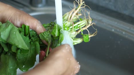 washing vegetables in the sink