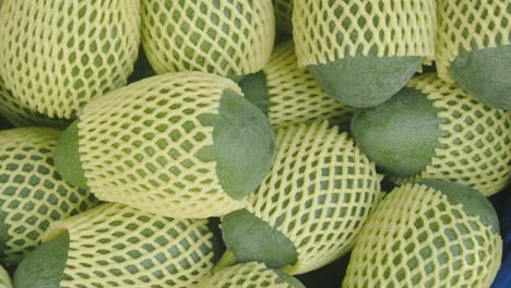 avocados in protective mesh packaging