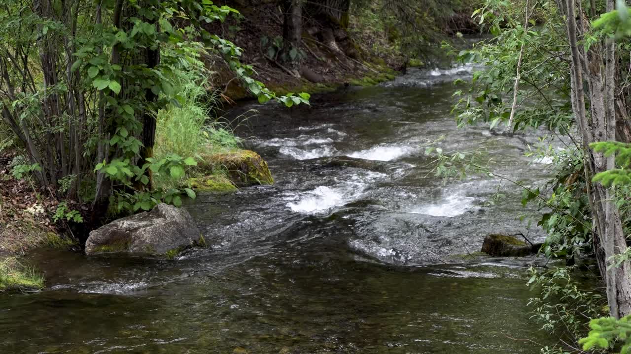 Pullen Creek Stream Walk in Skagway, Alaska.
