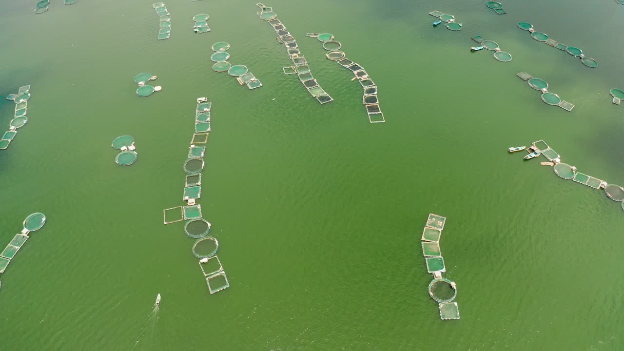 필리핀 타알 호수 (taal lake) 에 있는 생선 농장.