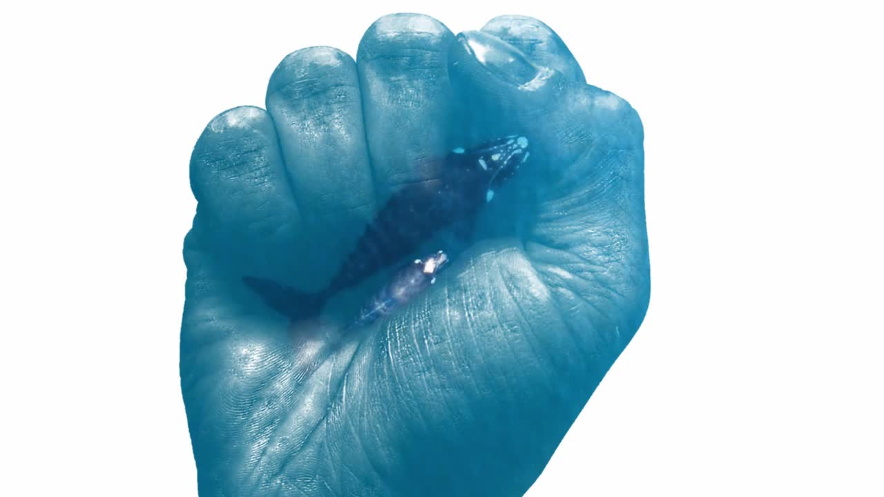 lucha contra la caza de ballenas, la caza furtiva y la caza de ballenas, doble exposición, puño levantado - animación de gráficos en movimiento 3d