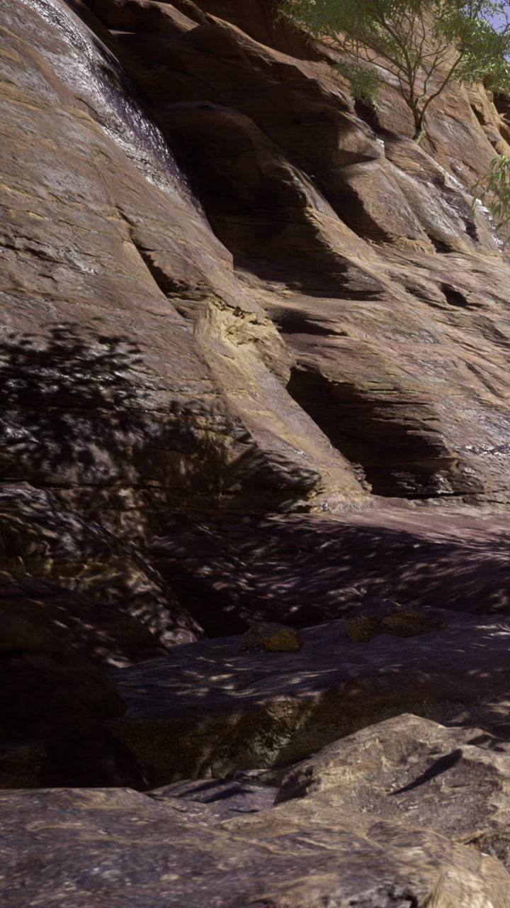 Rocky surface with shadows and vegetation near water source in natural setting