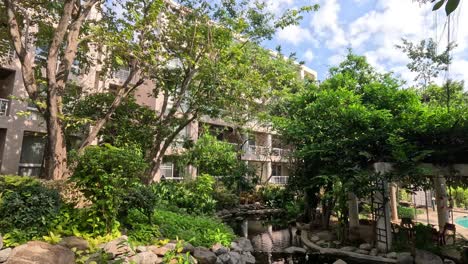 peaceful garden pond amidst urban apartment setting