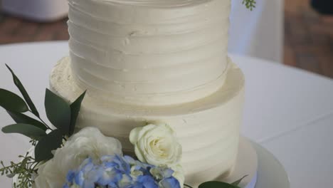 Bride-and-groom-cut-cake