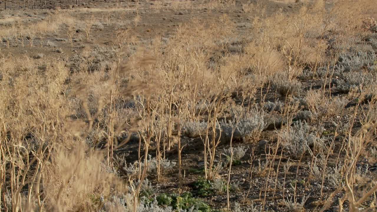 incline hacia la notable cordillera de fitzroy en patagonia argentina al atardecer 1