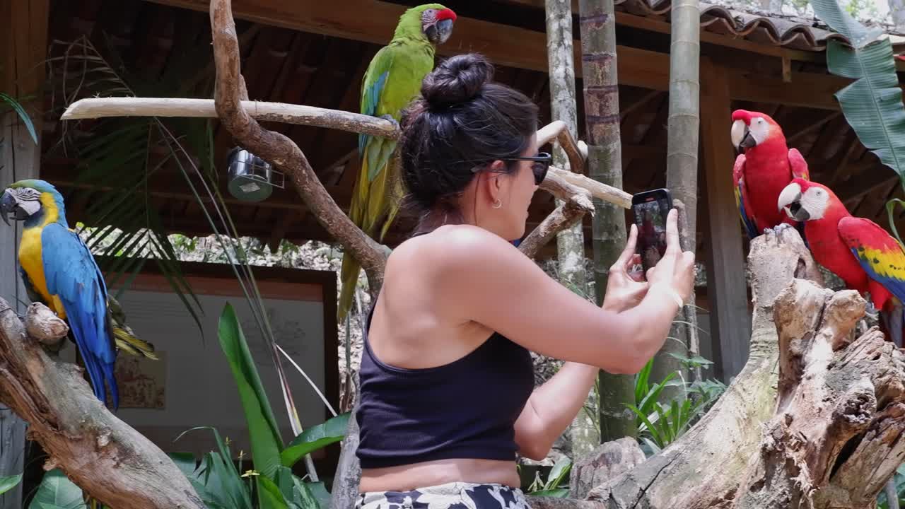 una mujer joven toma una foto de cerca de loros guacamayo con un teléfono inteligente