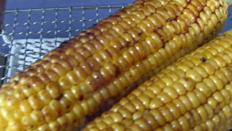 a-Japanese-female-chef-puts-shoyu-on-grilled-corn-at-her-home-kitchen,-Tokyo,-Japan