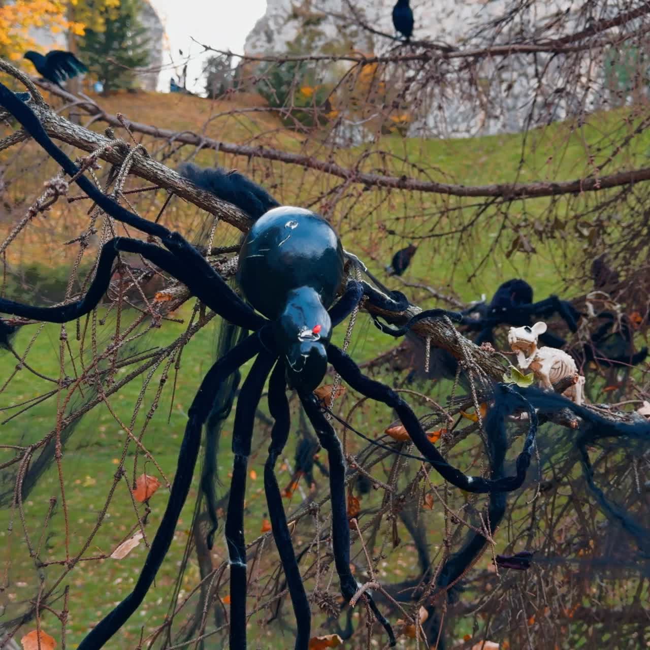 Bare dry pine tree covered with spiders, web. Black balls and crows. Halloween decoration outside