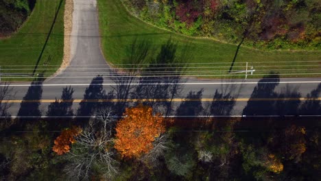 a high angle aerial view over a country road with colorful trees on both sides on a sunny day in autumn