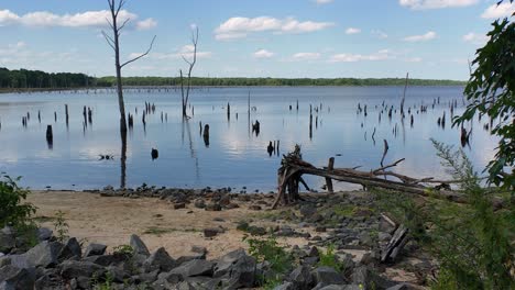 view from the shore of manasquan reservoir, manasquan, new jersey