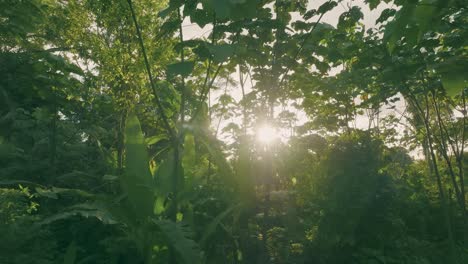 4k-aerial-shot-of-sunrise-view