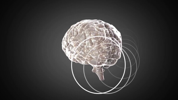 Animation showing neural activity with swirling lines in transparent brain model