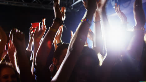 group of people dancing at a concert 4k