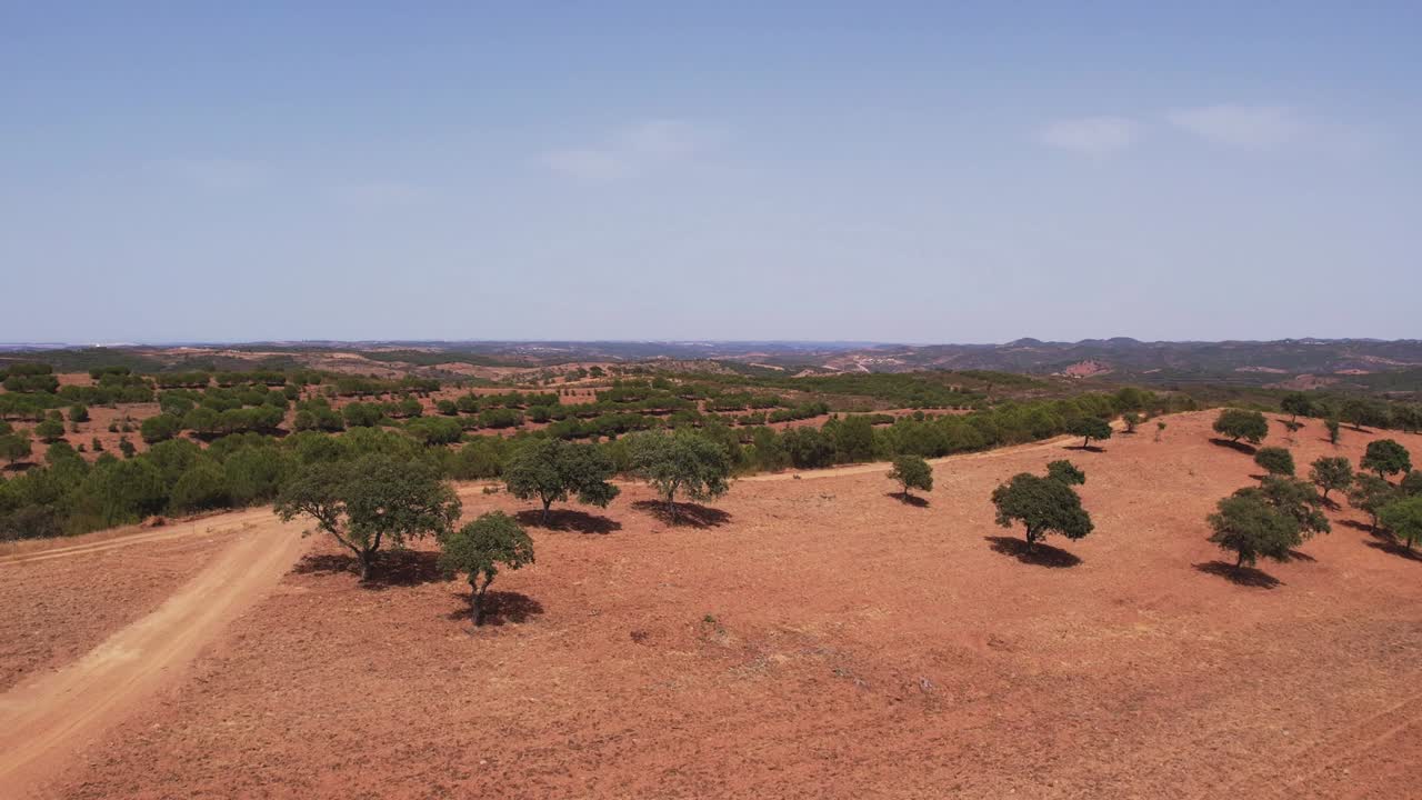 vista aérea de una vasta llanura en las tierras de cultivo en alentejo, portugal