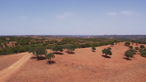 葡萄牙阿倫特喬 (alentejo) 農地的廣<unk>平原的空中景色