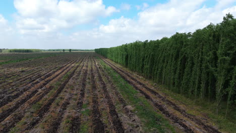 aerial perspective of sustainable forestry and agricultural land use changes