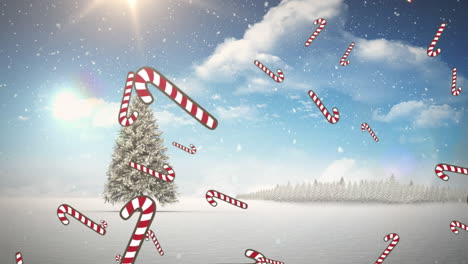 multiple candy cane icons and snow falling over christmas tree on winter landscape against blue sky