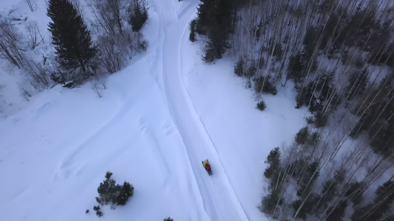 moto de nieve en el bosque nevado