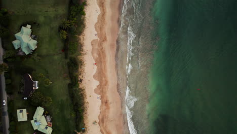 una vista de pájaro de las olas rompiendo en la playa en hawaii