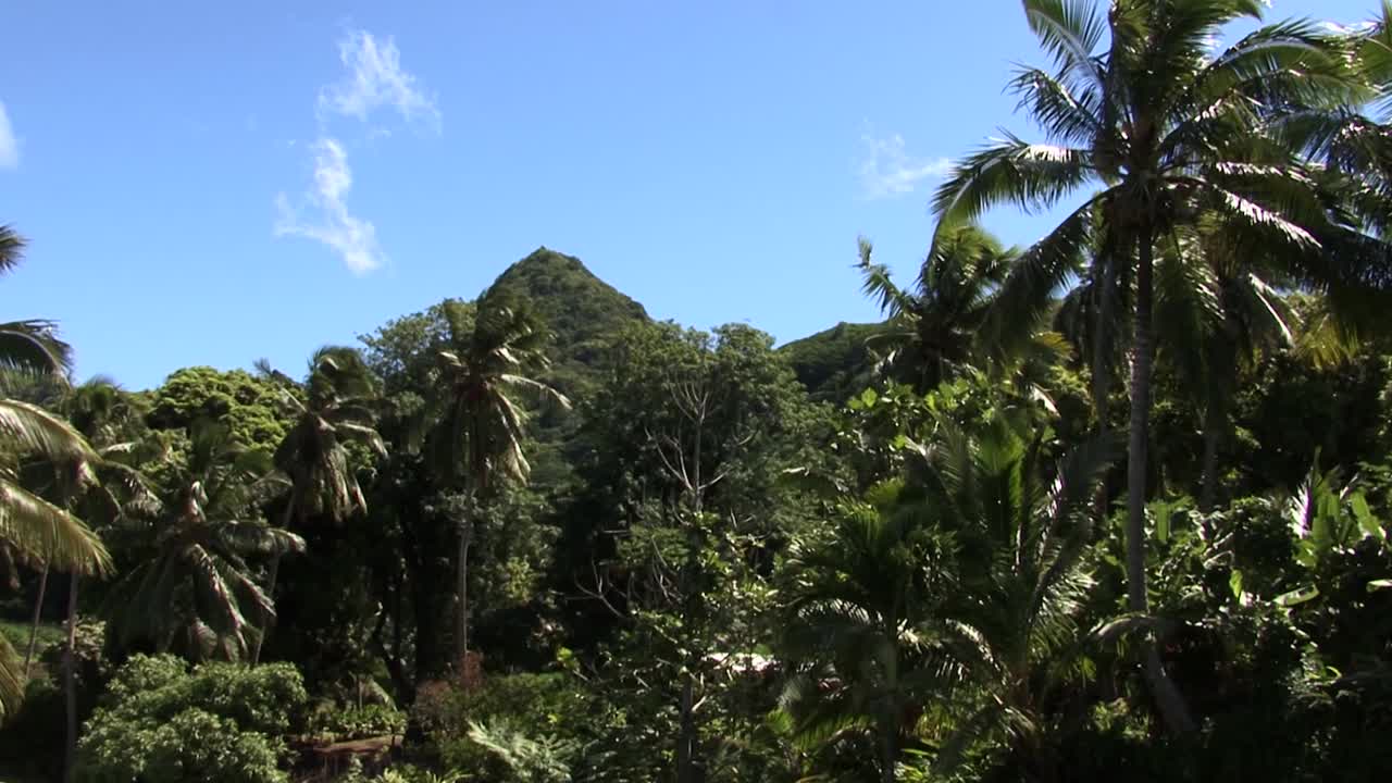 Regenwald und der Berggipfel auf Rarotonga, Cookinseln