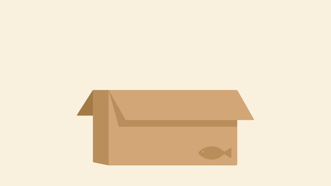 милая черная кошка в картонной коробке.