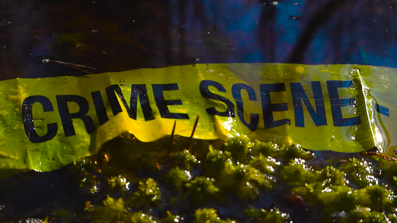 Yellow police tape reading crime scene floating in dark, murky bog water next to green moss, suggesting a forensic investigation in a mysterious and abandoned natural setting