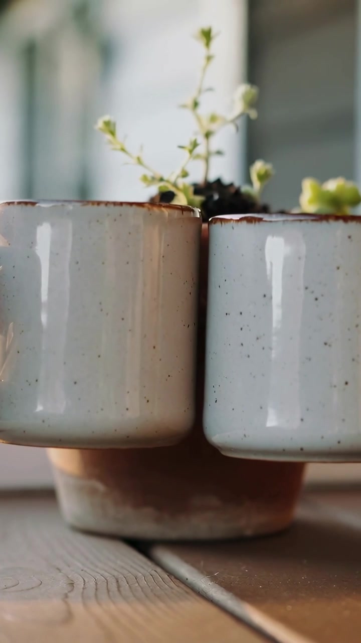 Video verticale: Telecamera in movimento che mette a fuoco tazze chiare su una terrazza, allineandole attorno a un vaso di terracotta.