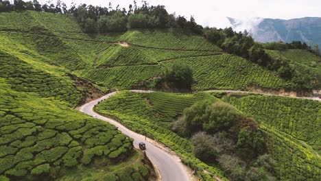 diving-a-tuk-tuk-in-the-tea-plantation-road-in-Munnar,-Kerala---South-India